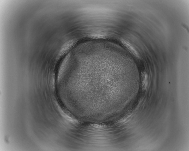 X0000097760494200803211717