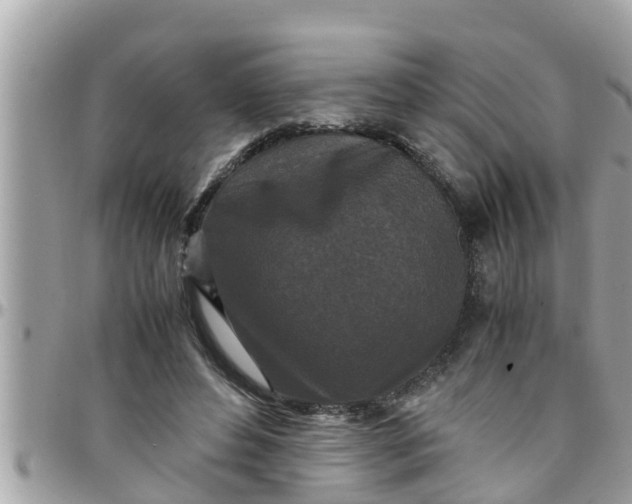 X0000097760496200803211717