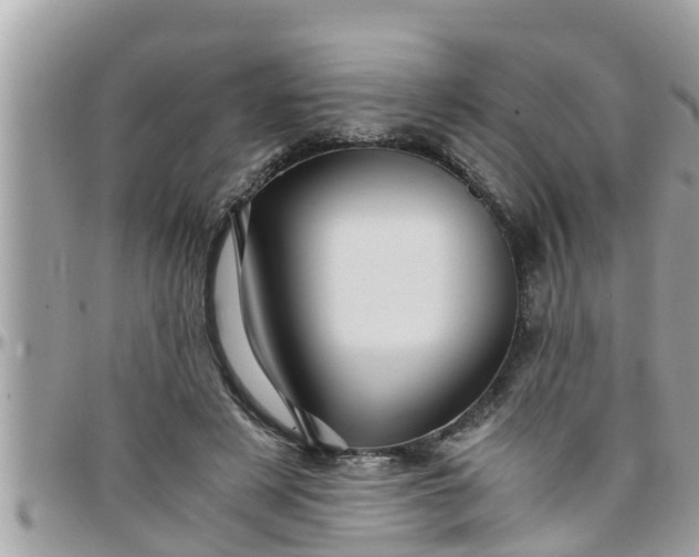 X0000097760497200803211717