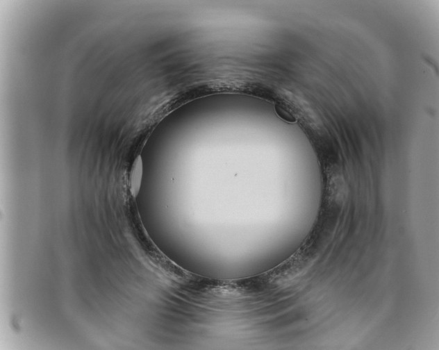 X0000097760498200803211717