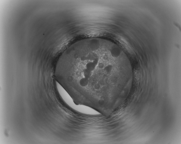 X0000097760499200803211717