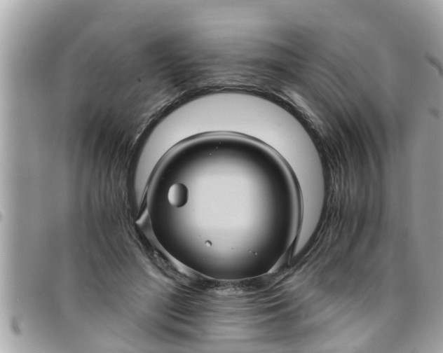 X0000097760500200803211717