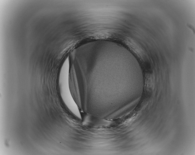 X0000097760501200803211717