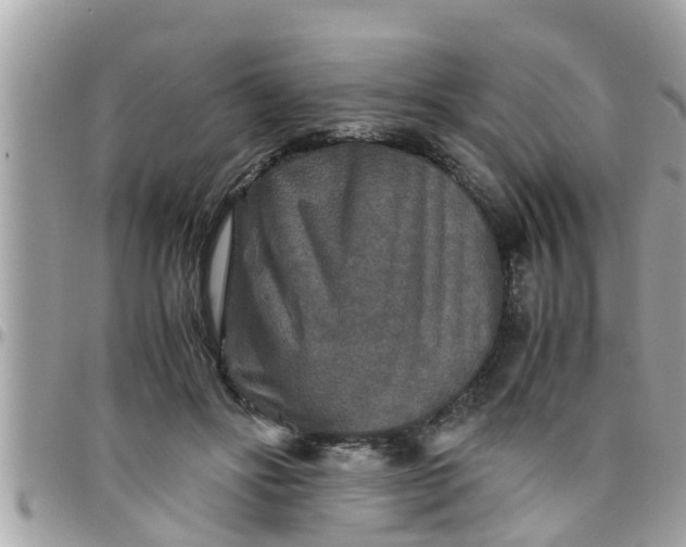 X0000097760502200803211717