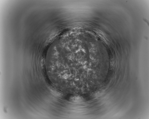 X0000097760503200803211717