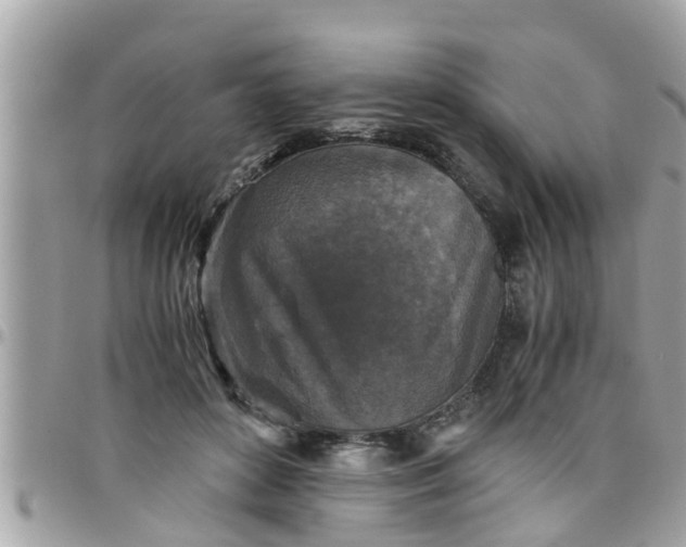 X0000097760504200803211717