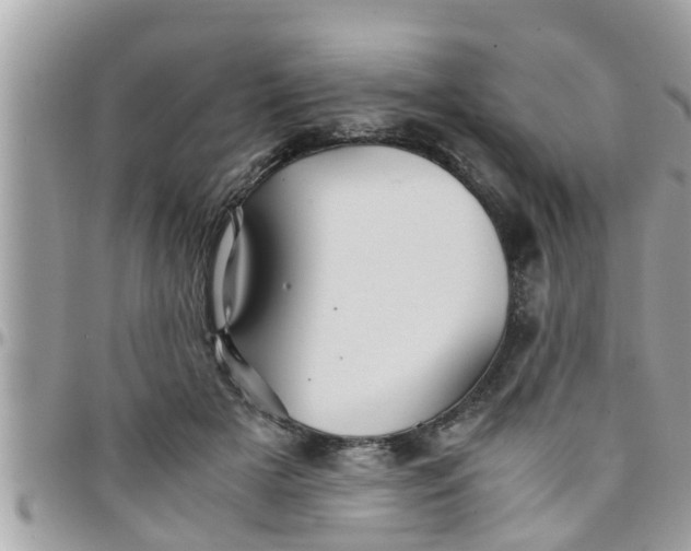 X0000097760505200803211717