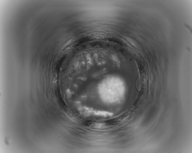 X0000097760507200803211717