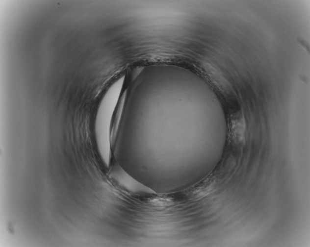 X0000097760508200803211717