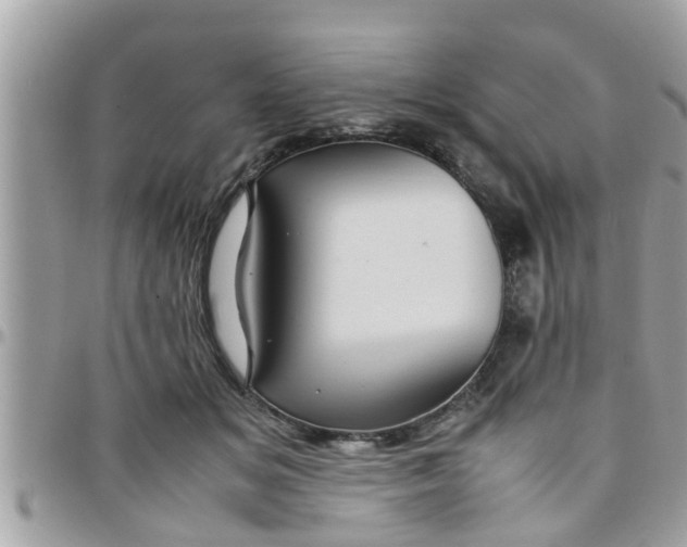 X0000097760509200803211717