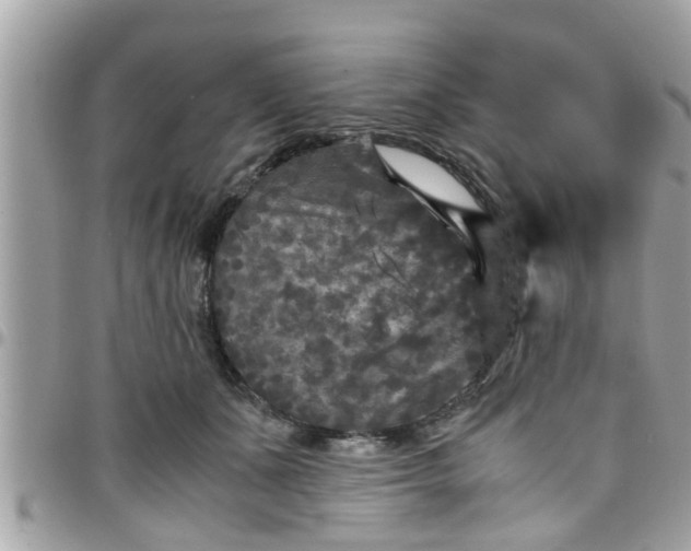 X0000097760511200803211717