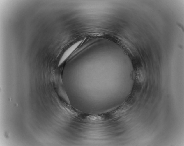 X0000097760512200803211717