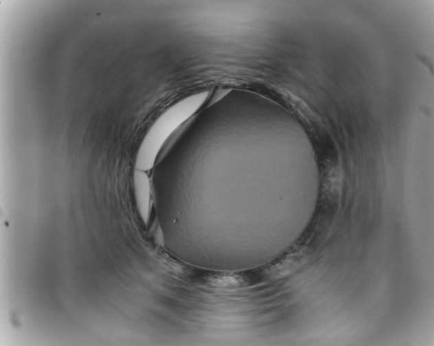 X0000097760513200803211717