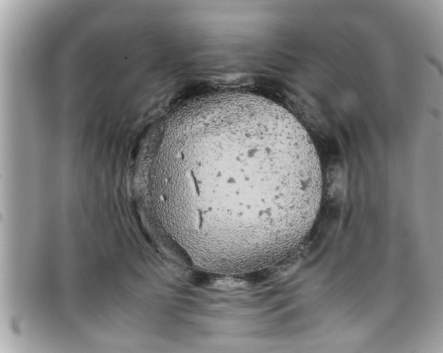 X0000097760515200803211717