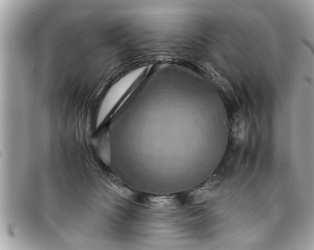 X0000097760516200803211717