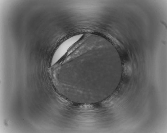 X0000097760517200803211717