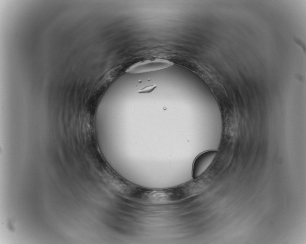 X0000097760518200803211717