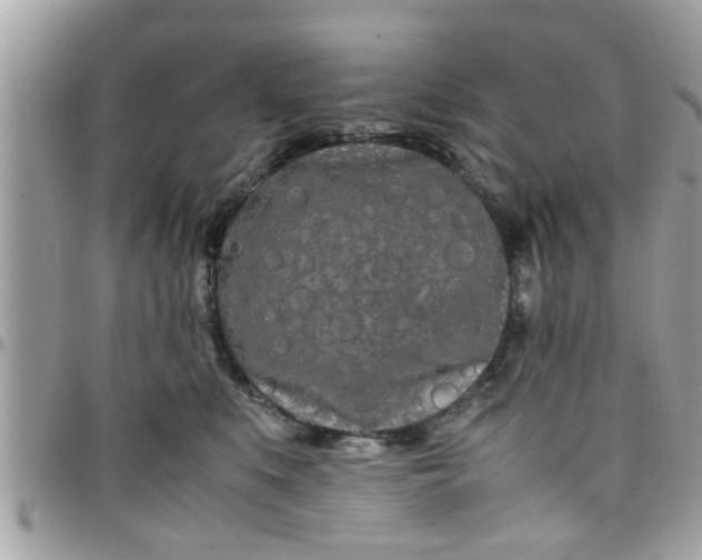 X0000097760519200803211717