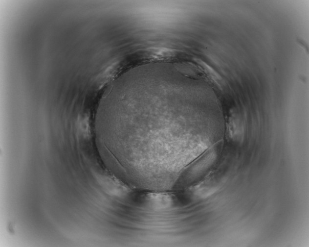 X0000097760520200803211717