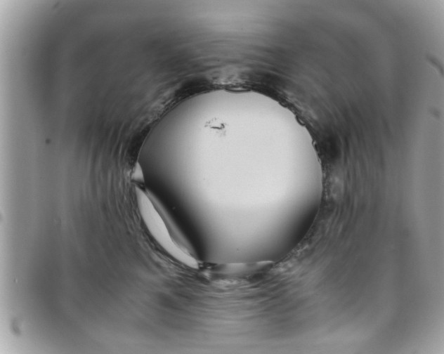 X0000097760521200803211717