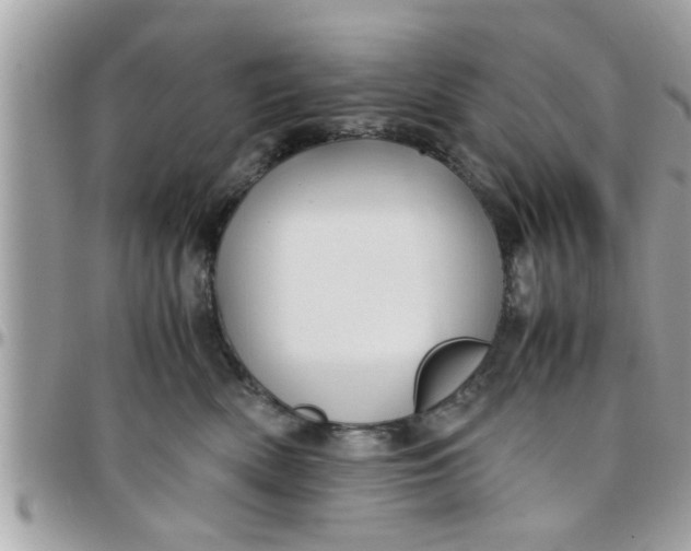 X0000097760522200803211717