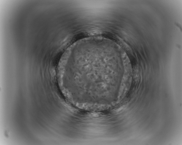 X0000097760523200803211717