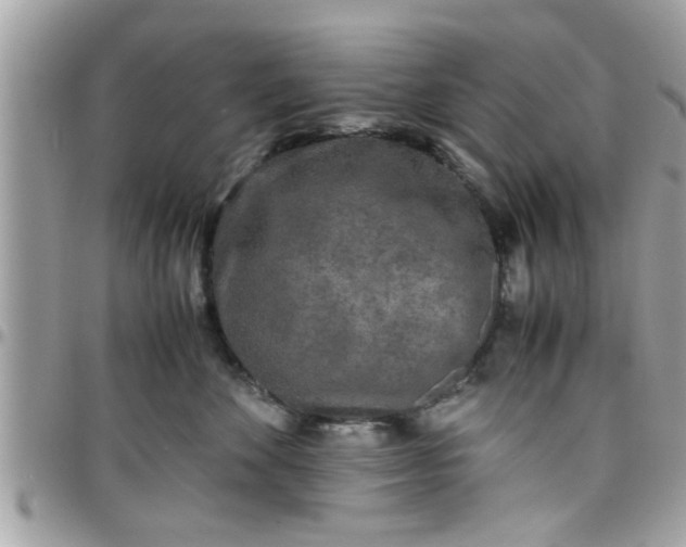 X0000097760524200803211717