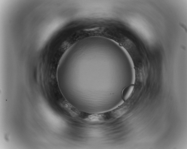 X0000097760526200803211717