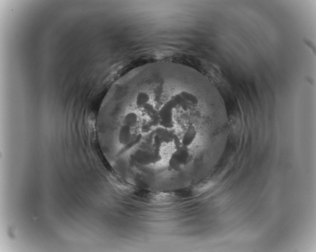 X0000097760527200803211717