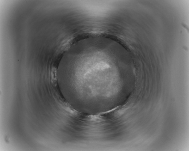 X0000097760528200803211717