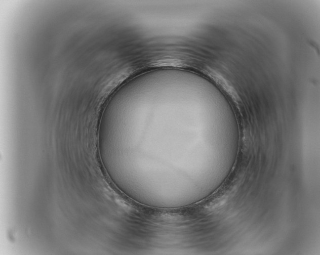 X0000097760529200803211716