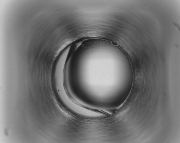 X0000097760530200803211716