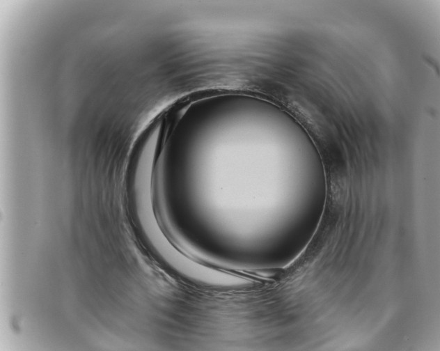 X0000097760532200803211716