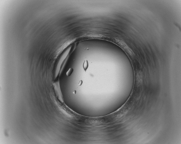 X0000097760533200803211716