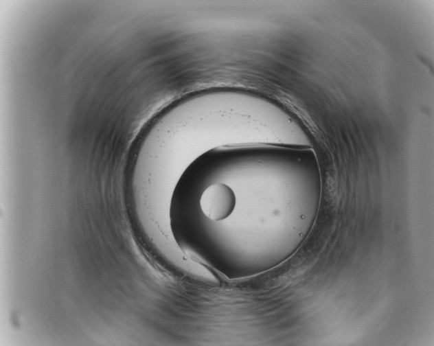 X0000097760534200803211716