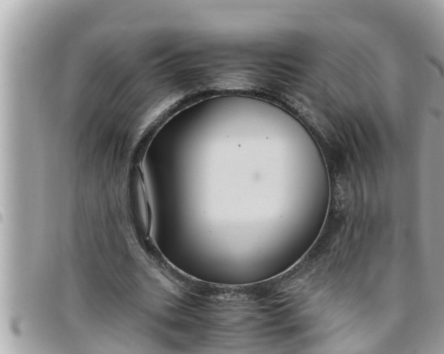 X0000097760535200803211716