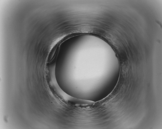 X0000097760536200803211716