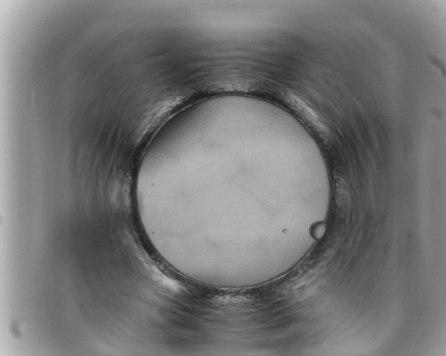 X0000097760537200803211716