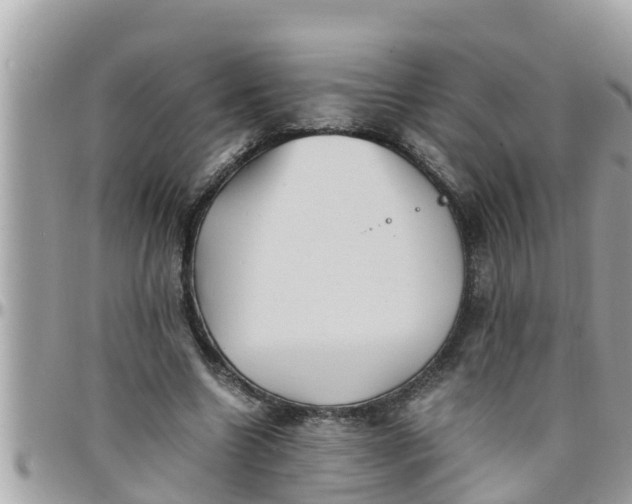 X0000097760538200803211716