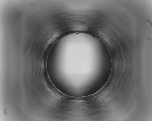 X0000097760539200803211716