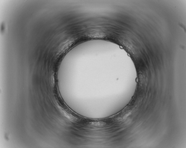 X0000097760541200803211716