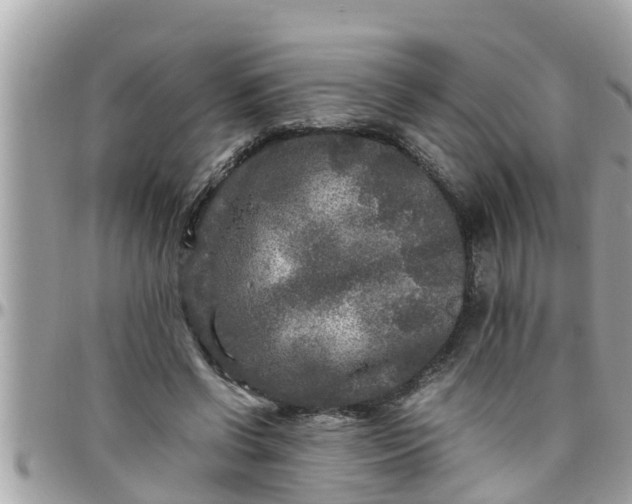 X0000097760542200803211716