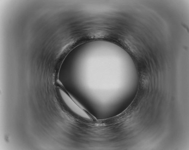 X0000097760543200803211716