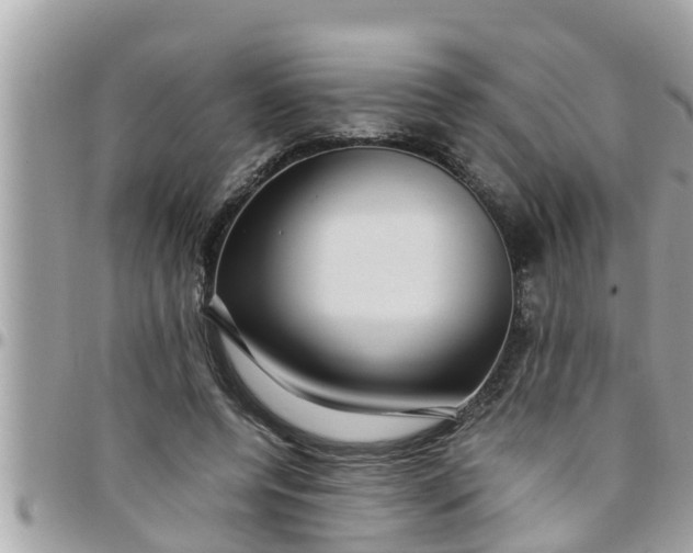 X0000097760544200803211716