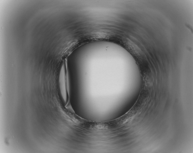 X0000097760546200803211716