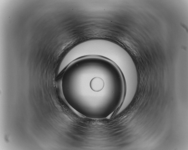 X0000097760547200803211716