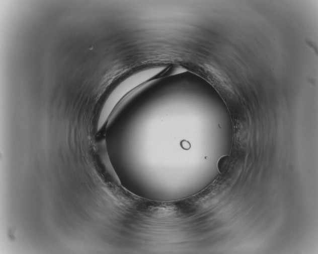 X0000097760548200803211716