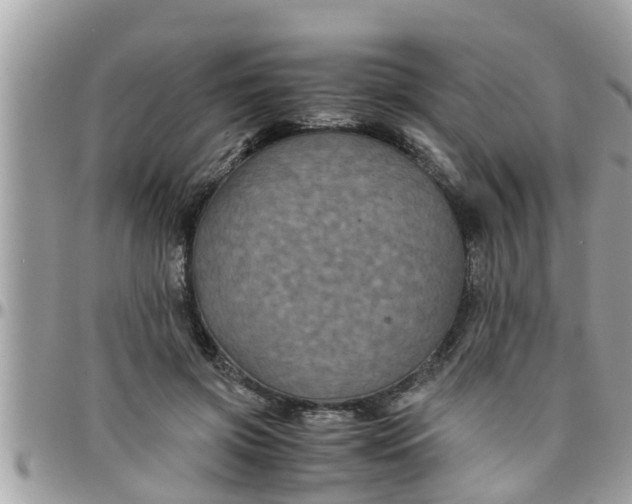 X0000097760549200803211716