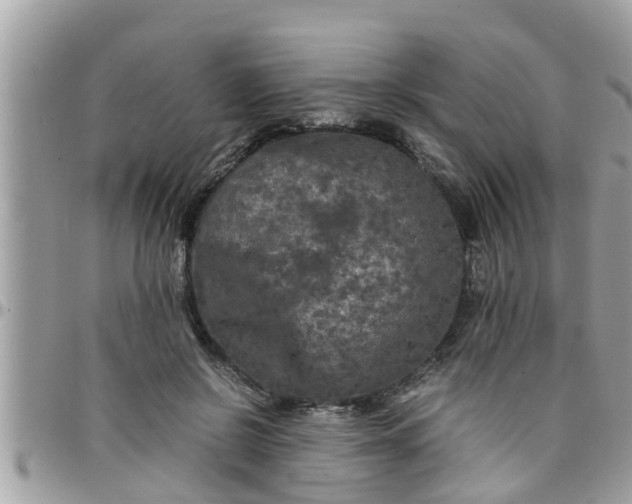 X0000097760550200803211716