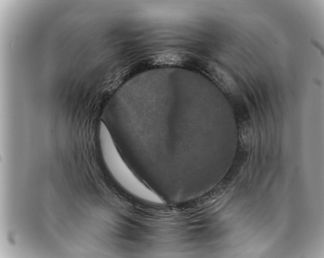 X0000097760551200803211716